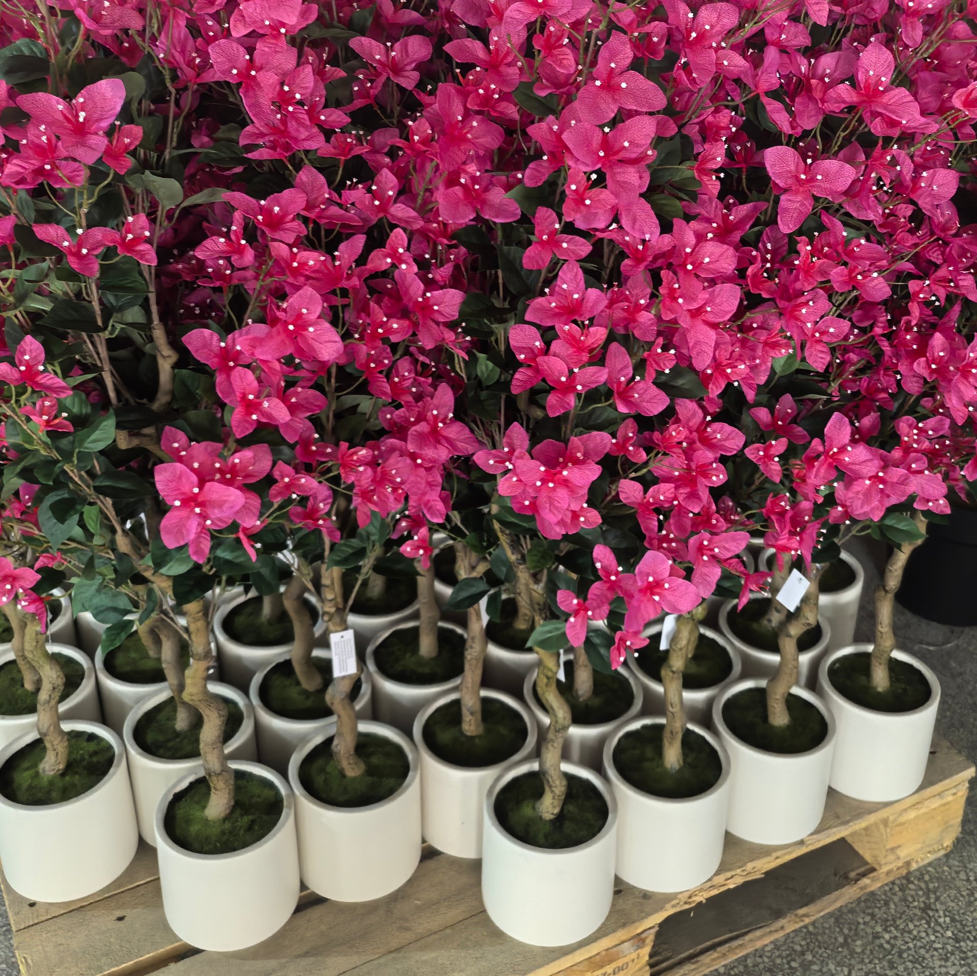 Artificial bougainvillea trees ready for shipment